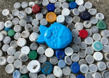 Will Tethered Bottle Caps Open a New Entrance in America’s Tradition Wars? | by Jeff Miller | Dec, 2024