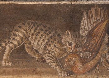 Tiberius Gracchus – A Assortment of Unmitigated Pedantry