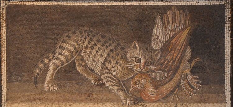 Tiberius Gracchus – A Assortment of Unmitigated Pedantry