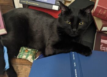 Fireplace Friday, January 10, 2025 – A Assortment of Unmitigated Pedantry