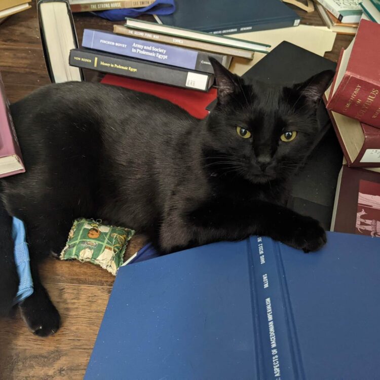 Fireplace Friday, January 10, 2025 – A Assortment of Unmitigated Pedantry