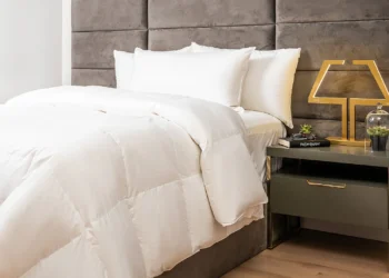 Vant Pillows: A Way of life and Sleep Improve? Our In-Depth Assessment