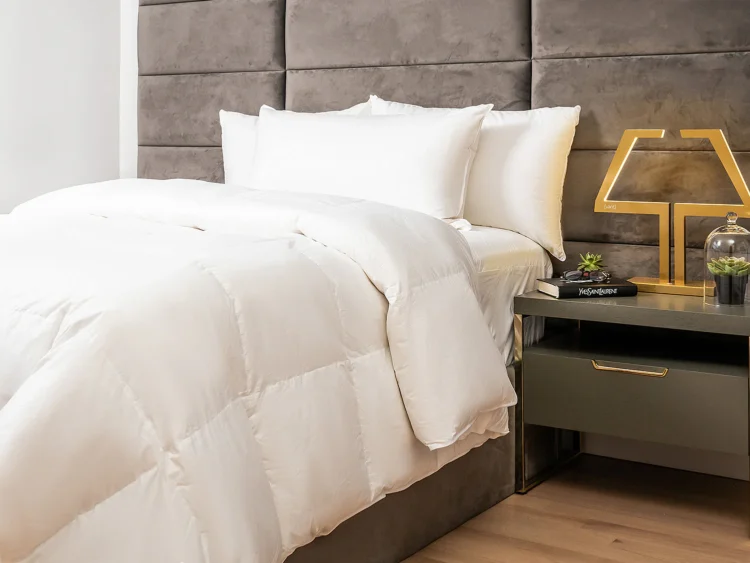 Vant Pillows: A Way of life and Sleep Improve? Our In-Depth Assessment