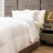 Vant Pillows: A Way of life and Sleep Improve? Our In-Depth Assessment