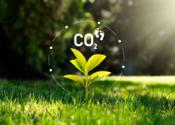 Miller Commissions Carbon Footprint Research with Lengthy-Time period Sustainability in Thoughts