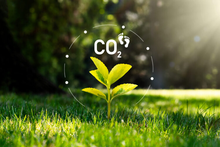 Miller Commissions Carbon Footprint Research with Lengthy-Time period Sustainability in Thoughts