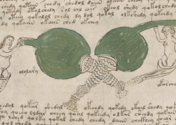 Discover a Digitized Version of the Voynich Manuscript, “the World’s Most Mysterious Guide”