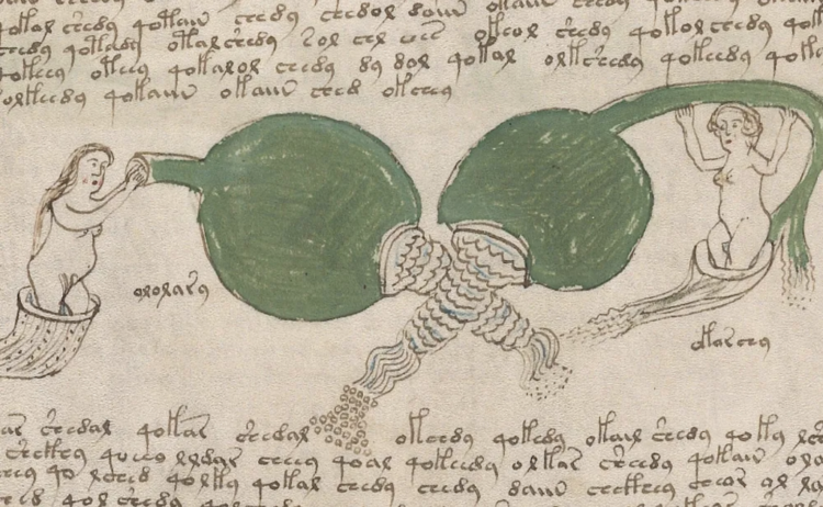 Discover a Digitized Version of the Voynich Manuscript, “the World’s Most Mysterious Guide”