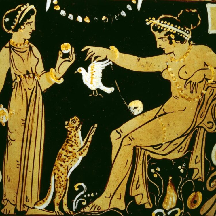 Gaius Gracchus – A Assortment of Unmitigated Pedantry