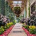 A Winter Getaway to Longwood Gardens: The place to Dine, Keep, and Discover