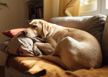 Have a Restful Weekend. | Cup of Jo