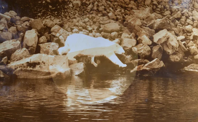 Anne Lydiat: The Artwork of Seeing What Isn’t There