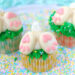 Bunny Butt Cupcakes Recipe (Low-Sugar, Decrease Carb)