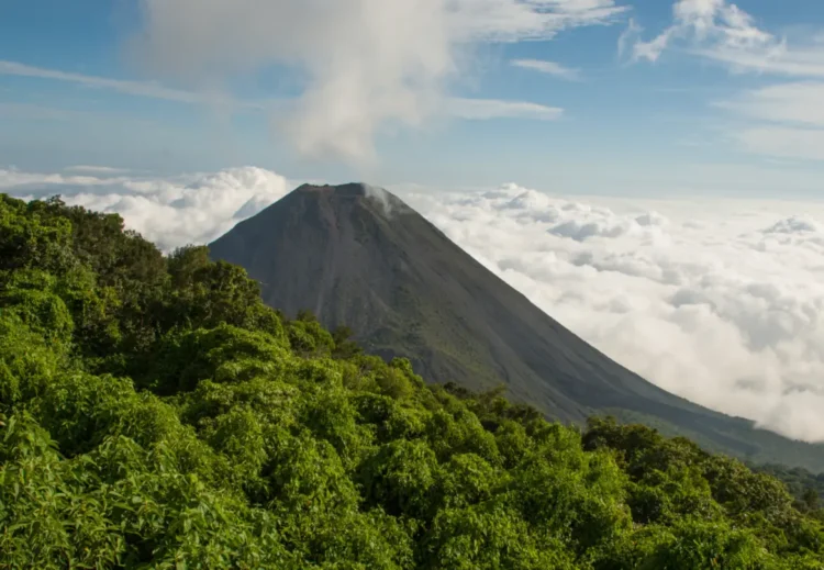 Uncover El Salvador in July: Excellent Summer season Journey