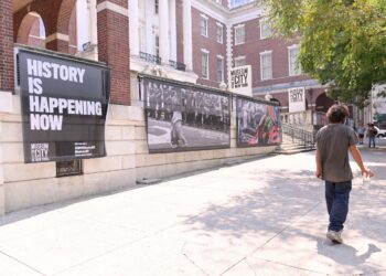 Trump-Appointed Museum Company Chief Vows to “Restore Concentrate on Patriotism”