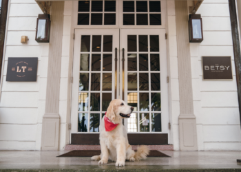 Ocean Drive Goes to the Canines for the Promenade Pet Parade