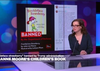 Julianne Moore's 'Freckleface Strawberry' ebook pulled from US faculty cabinets