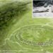 Historical Burial Web site Flagstones In Dorset Is Older Than Stonehenge