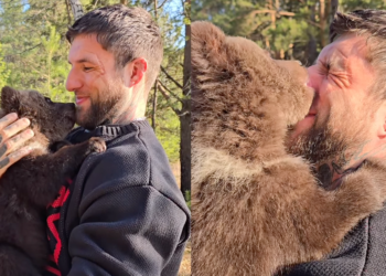 SLAUGHTER TO PREVAIL’s ALEX TERRIBLE Adopts Two Bear Cubs