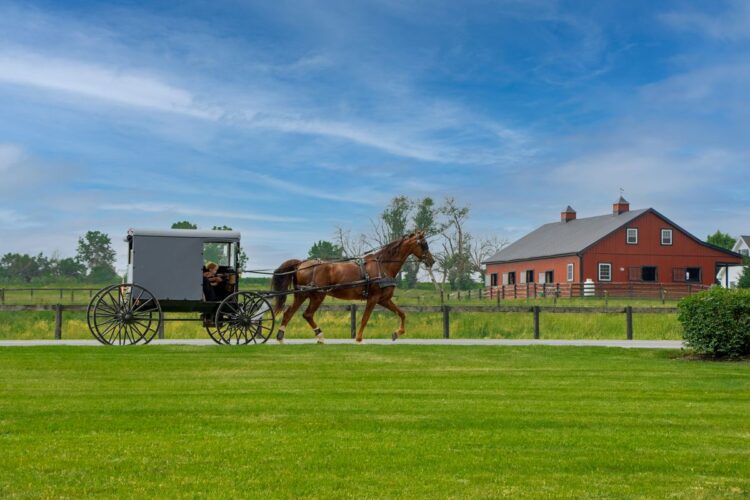 Issues To Do In Amish Nation