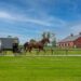 Issues To Do In Amish Nation