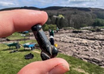 New Vindolanda dig, new Vindolanda phallus – The Historical past Weblog