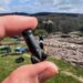 New Vindolanda dig, new Vindolanda phallus – The Historical past Weblog