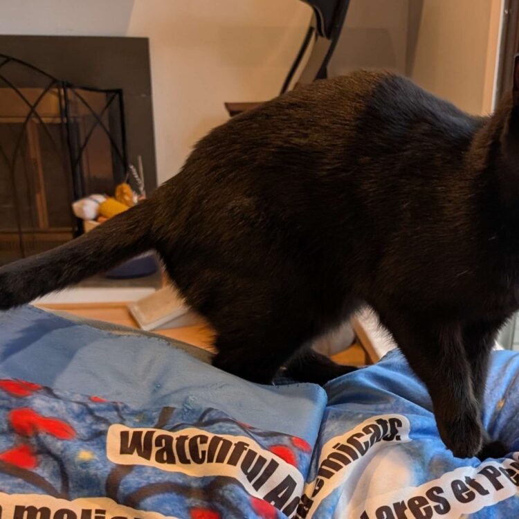 Hearth Friday, April 4, 2025 – A Assortment of Unmitigated Pedantry