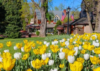 Have a good time The Strawberry Competition At Peddler’s Village