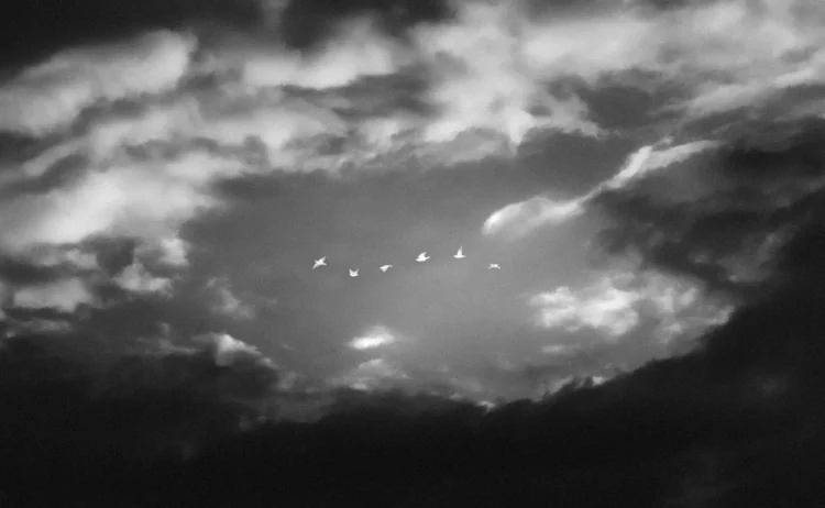 Tzion Essel: Capturing the Unstated Depths of Existence