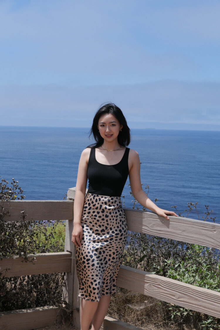 Bridging Worlds: Xianghan Wang’s The Rhythm of Tai Chi Reveals in London