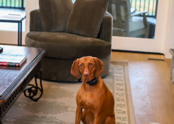 The Season of Overcommitment and How Running a blog Works