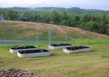 I Began a Backyard: Spring 2025