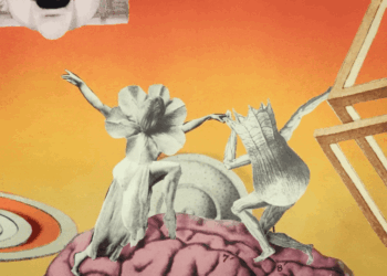 A Weird Animated Music Video for Foxwarren Compels Us to Hear — Colossal