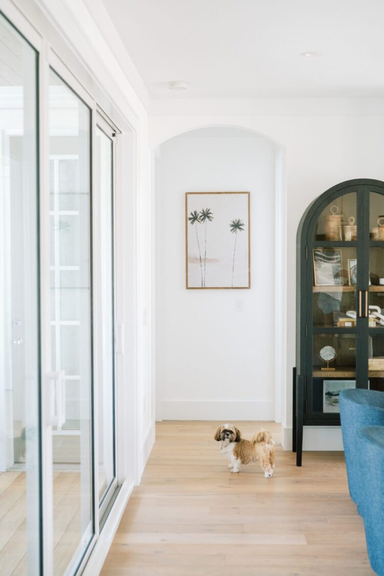 Anna Maria Island Residence Tour