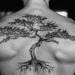 The Everlasting Symbolism of Tree of Life Tattoos – IMAGELLA