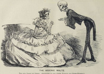 The Hidden Demise within the Victorian Wallpaper