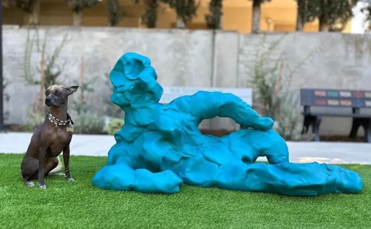 Danny First: Sculpting Emotion By way of Simplicity and Play