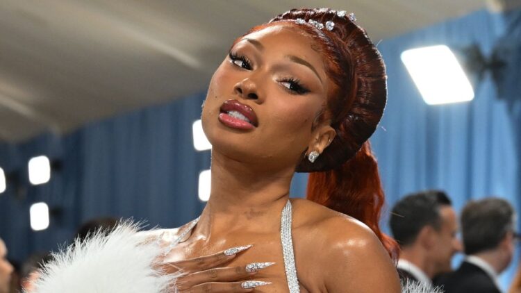 Megan Thee Stallion Releases New Assertion on Tory Lanez as Drake and Others Help Pardon