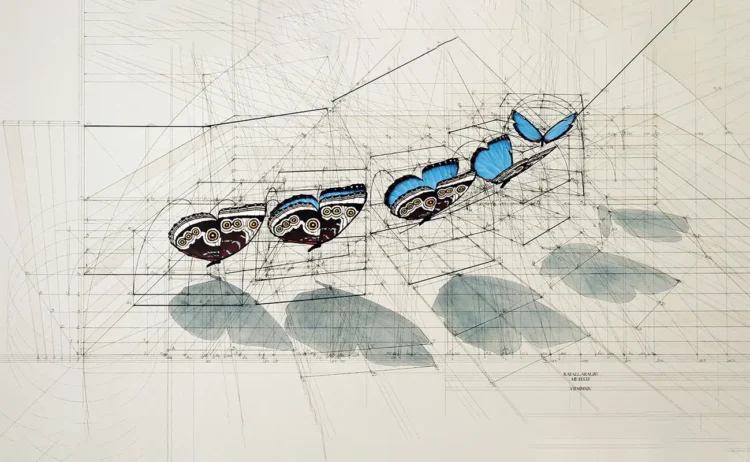 Rafael Araujo: Drawing the Invisible Logic of Nature