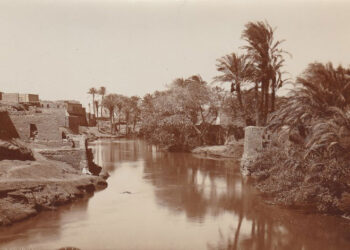 Georg Schweinfurth and Egyptology on the Neues Museum » Artwork & Vintage Market