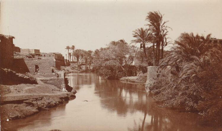 Georg Schweinfurth and Egyptology on the Neues Museum » Artwork & Vintage Market