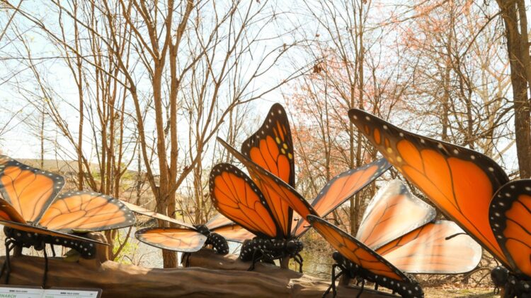 Fairchild Tropical Botanic Backyard’s Newest Exhibition Will Give You a Buzz