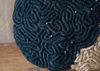 Recycled Supplies Draw Consideration to Ocean Plastics in Ana Brecevic’s Assemblages — Colossal