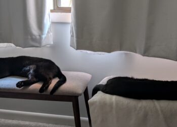 Fireplace Friday, Could 30, 2025 (On Skilled Navy Training) – A Assortment of Unmitigated Pedantry