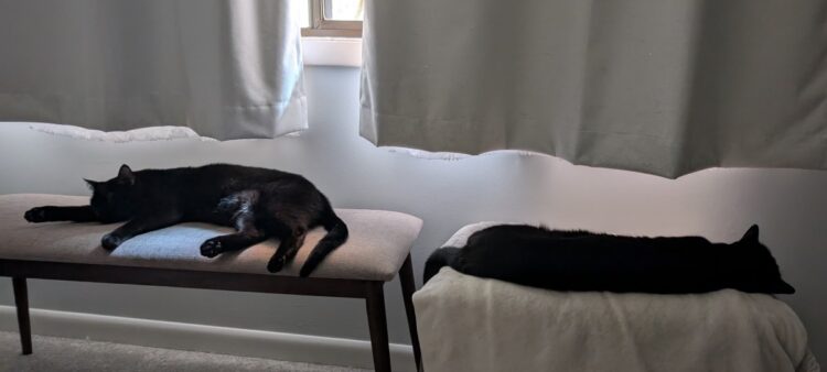 Fireplace Friday, Could 30, 2025 (On Skilled Navy Training) – A Assortment of Unmitigated Pedantry