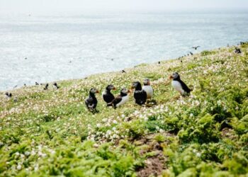 Have a Pretty Weekend. | Cup of Jo