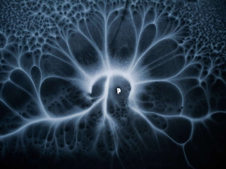 Gorgeous Aerial Images That from the 35 Awards Images Contest » Design You Belief — Design Every day Since 2007