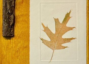 Juxtapoz Journal – Minimalism meets Metaphor in “Quiet disruption”: Luanne E. Witkowski @ Kingston Gallery, Boston