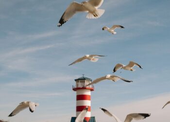 Have a Good Weekend. | Cup of Jo